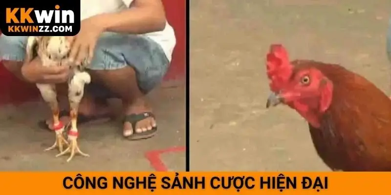 Công nghệ sảnh cược hiện đại